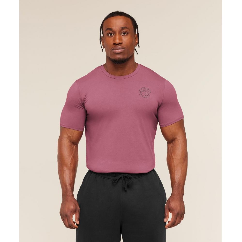 Gymshark Legacy T shirT reseT Pink A5a3b Kc2j