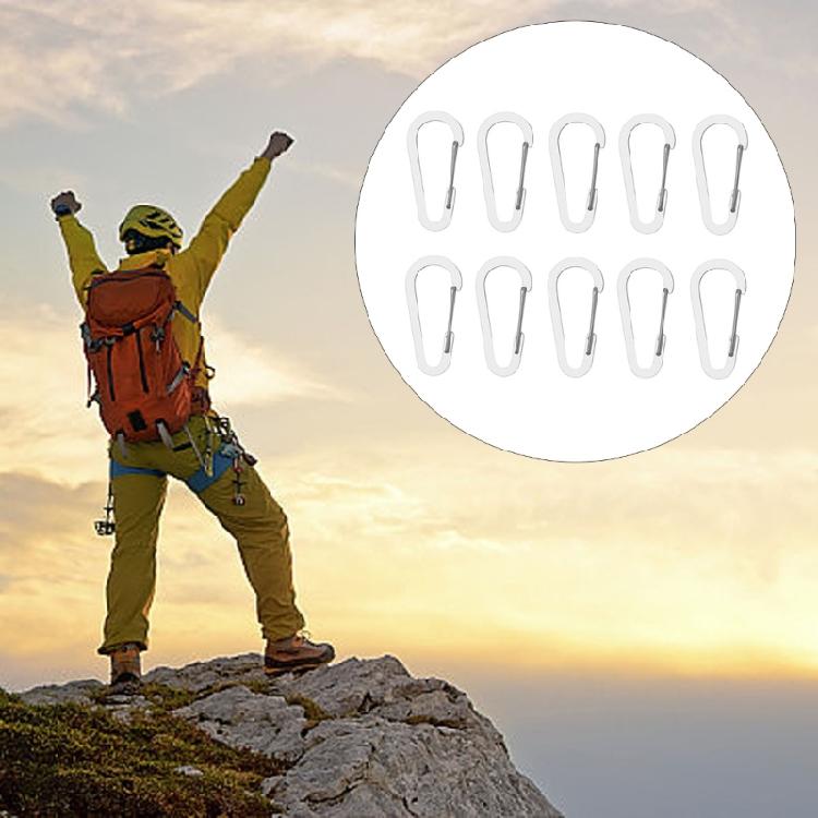 10Pcs Carabiner Clip Stainless Steels Keyring Clip Snap Hook Small Carabiner Clip for Key, Backpacks, Camping, Outdoor