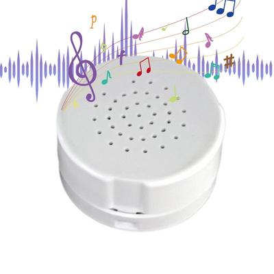 Plush Toy Voice Recorder Record Messages Custom Message 30 Second Recordable Sound Module Voice Box DIY Toy Recording Device