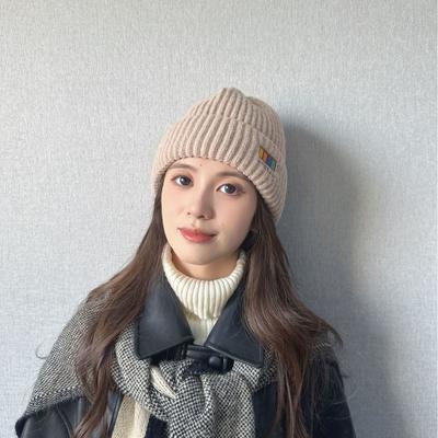 Autumn and Winter Hats for Women's New Korean Knitted Hats Versatile Warm Ear Protection and Thickened Fashionable Wool Hats