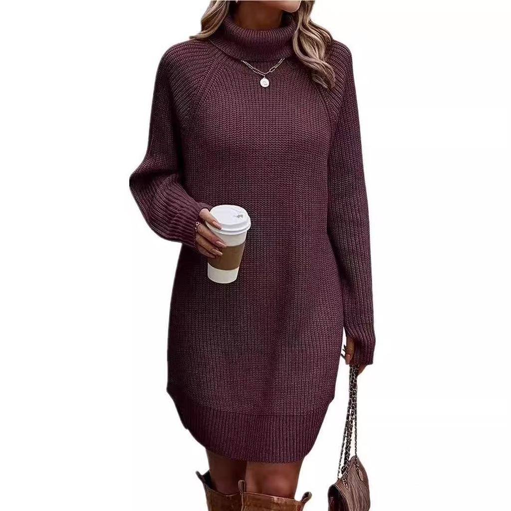 Women's High Neck Button Detail Knit Sweater Dress Loose Sleeve Mini Dress Multi Colors