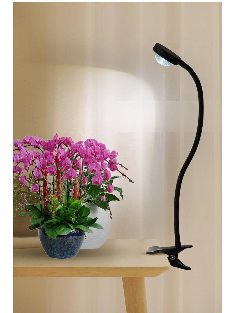 Full Spectrum Indoor Grow Light - Professional Floor Standing LED for Plants, Succulents, and Flowers