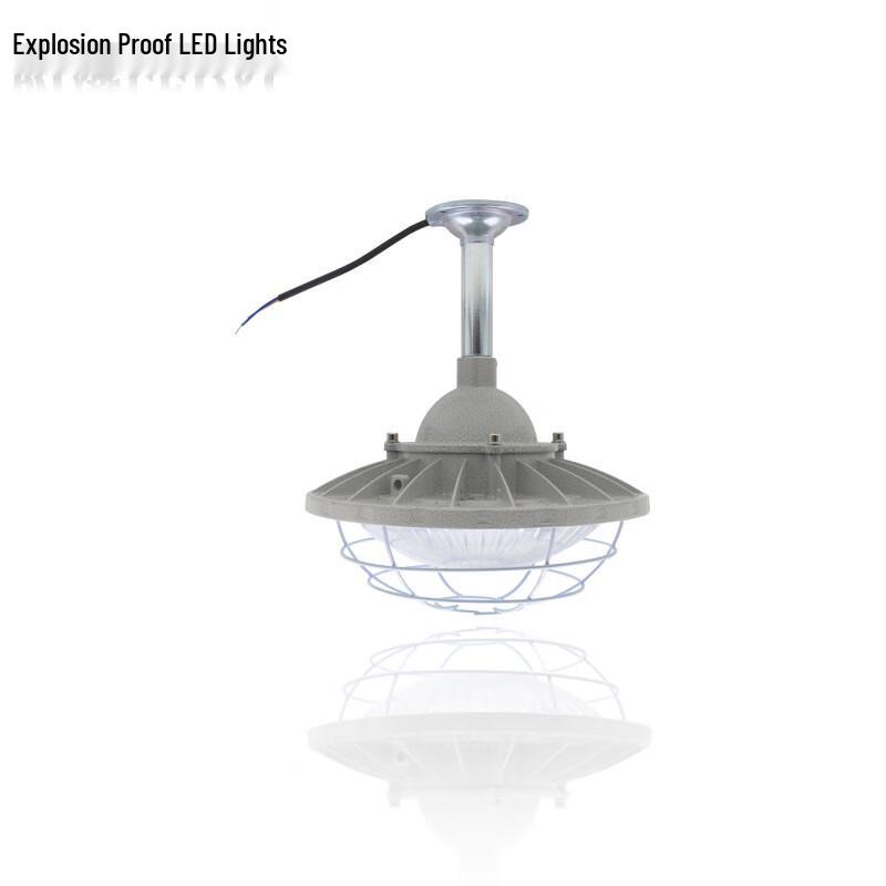 30W LED Industrial Emergency Pendant Light
