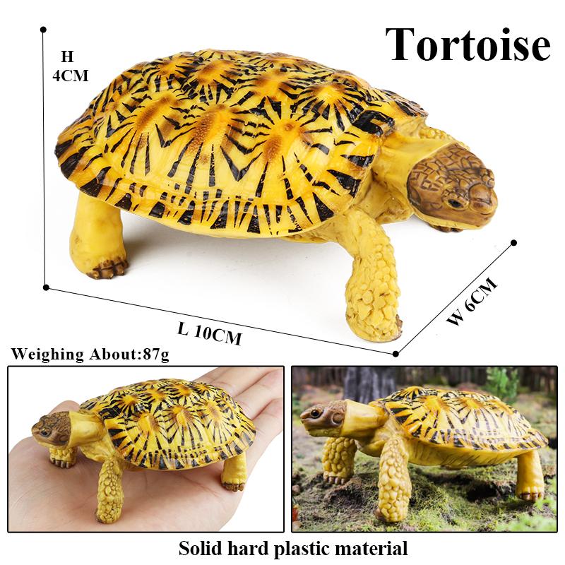 Oenux Sea Life Animals Model Leatherback Tortoise Turtle Growth Cycle Ocean Figurines Action Figures PVC Collection Kid Toy Gift