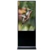 Piese de schimb pentru telefoane si tablete – Display-uri pentru telefoane și tablete