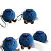 Blueberry Luck] Preventing Mold Luck Blueberry Plush Doll Doll Ornament Bag Pendant Keychain Pendant