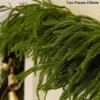 2025 Luxury Norfolk Pine & Rattan Christmas Decor with Soft Touch Rubber Cypress Leaves and Pine Needles