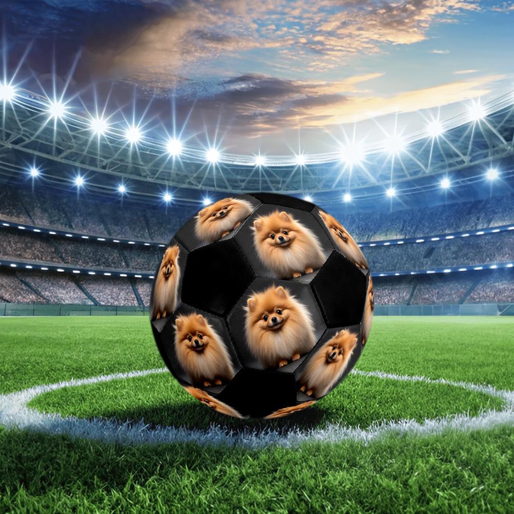 Customize Your Photo of a Size 5 Soccer Ball, Machine-stitched, Making It the Perfect Commemorative Gift .