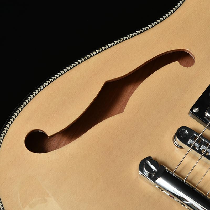BACCHUS Global Series NA Electric Guitar BARON-JAZZ