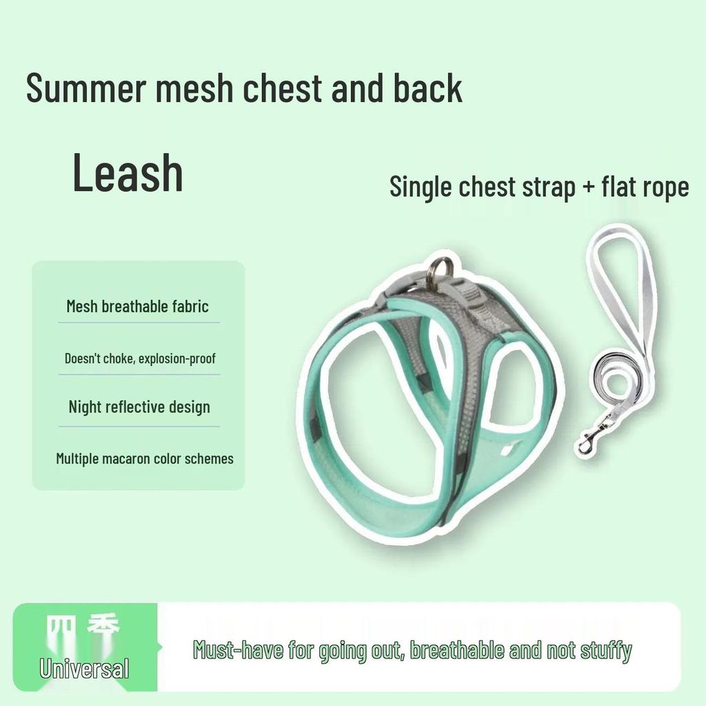 Adjustable Cat Anti-Escape Leash & Harness for Outdoor Walking
