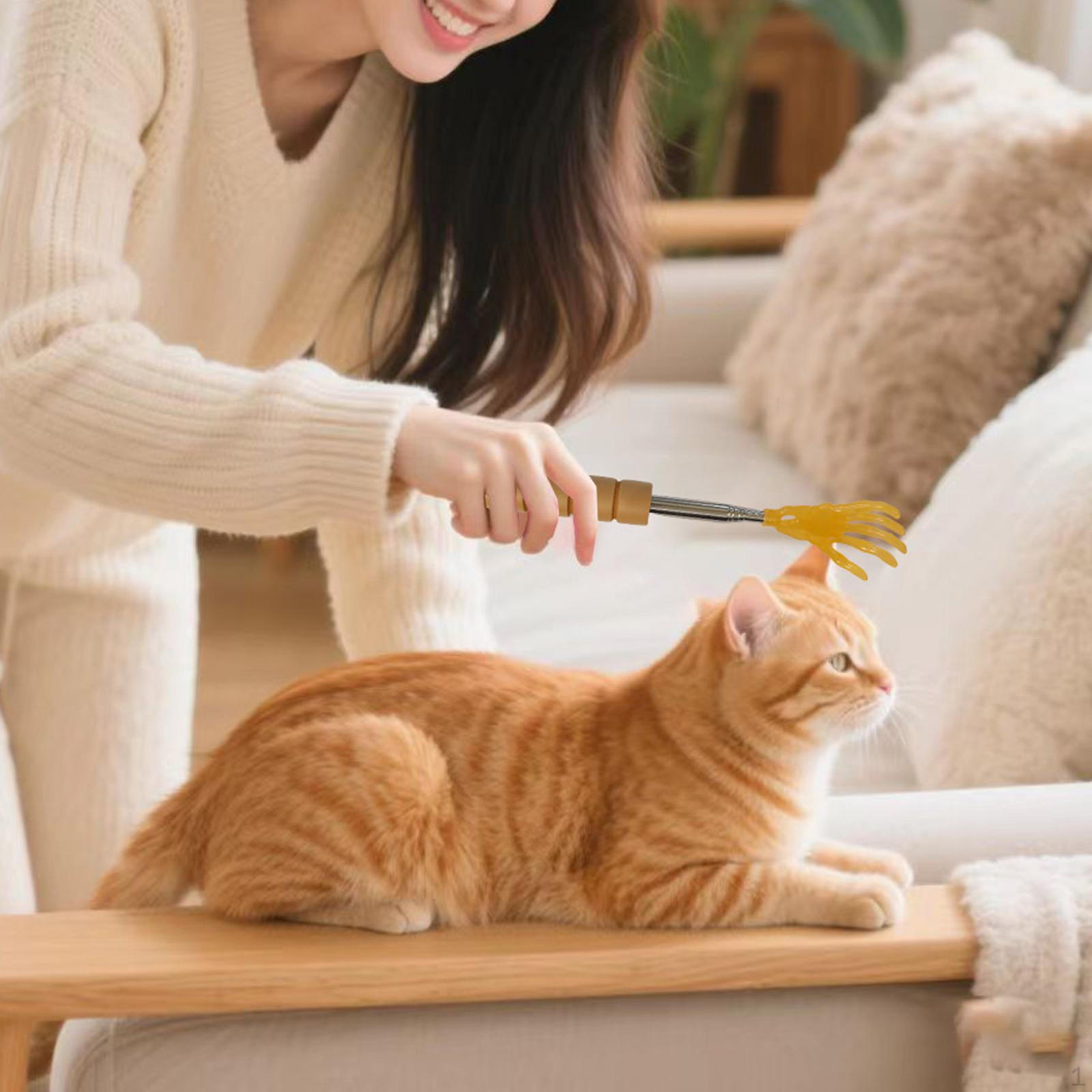 

Pet Interactive Toy Teaser for Cats Dogs Kitten Puppy Lightweight Portable Comfortable Massage Rod