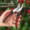 Multi-functional Stainless Steel Pruning Shears for Gardening, Bonsai, Fruit Trees, Grapes, and Peppers.