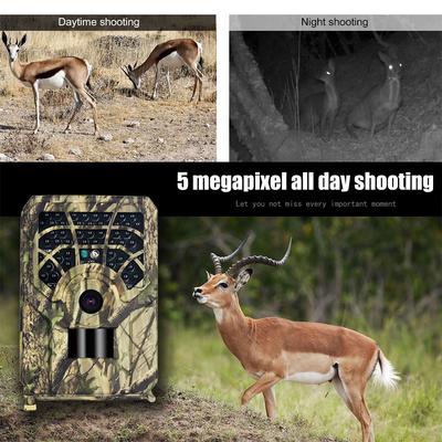 Hunting Trail Camera 5MP Wild Animal HD 720P Monitor Infrared Photo Traps