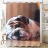 Bathroom Decor Shower Curtain featuring a cute dog's nap scene with warm colors for home decor purposes This shower curtain adds