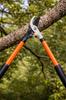 Sekator Nożyce Ogrodowe Do Gałęzi - Teleskopowe 57-84 Cm
