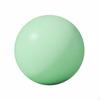 Fitness Ball AntiRupture Small Pilates Thickened Wall for Beginners, Postpartum Women, Gym