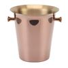 Ice Bucket with Handles Stainless Steel Beer Wine Beverage Cooling Tub for Home Bar 5L Capacity