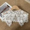Accessori – Cravatte, papillon, colletti e polsini