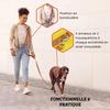 Laisse Pour Chien - VITAZOO - Modèle Accouple - Nylon Durable - Longueur Réglable - Poignée Ergonomique