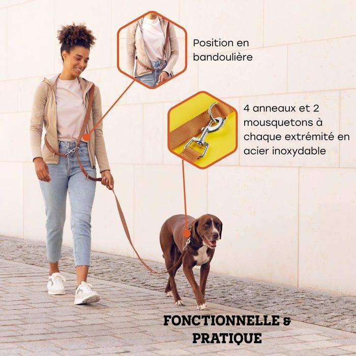 Laisse Pour Chien - VITAZOO - Modèle Accouple - Nylon Durable - Longueur Réglable - Poignée Ergonomique