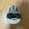 STRAY KIDS SKZ Japanese MD sunglasses Ski Zoo