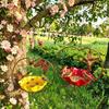 Outside Hummingbird Bird Feeder, Weather-proof Metal Butterfly Bird Bath, Hanging Feeding Bowl for Outdoor Garden Patio Yard