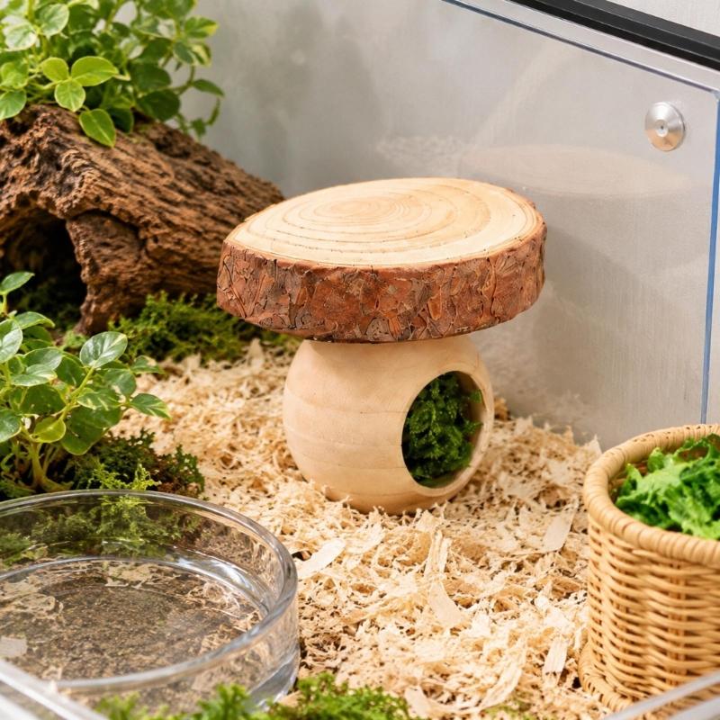 Salticid Feeding and Shelter Collection with Clear Dish, Side-Entry Retreat, Hanging Screen Sheet, Dropper, Tweezers, and Green Detail