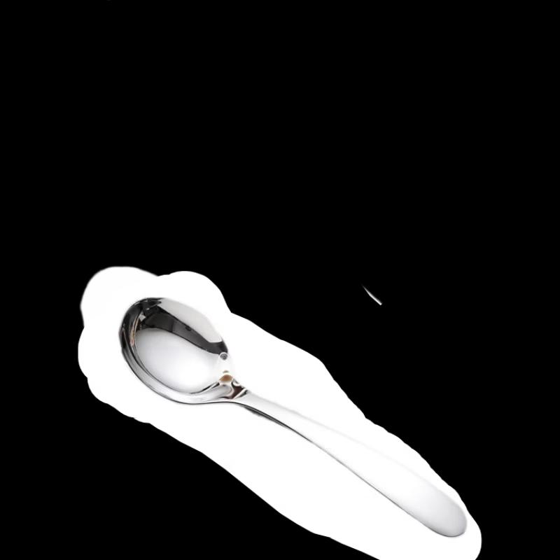 304 Stainless Steel Kids Spoons Set (6-Pack)