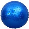 Thickened Yoga & Sensory Training Ball
