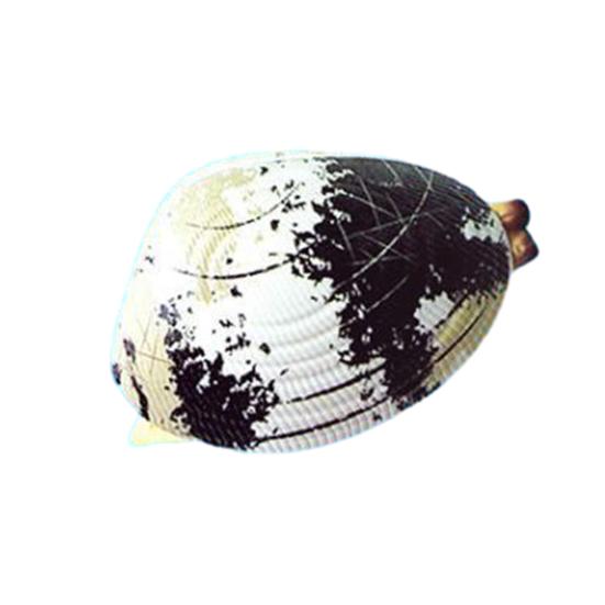 5Pcs Water Spray Toy Strong Clam-Shaped Water Play Toy Mist Sprayer Novelty Summer Beach Party Accessory
