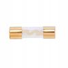 AGU GLASS FUSE 40A 10.3X38MM GOLD PLATED