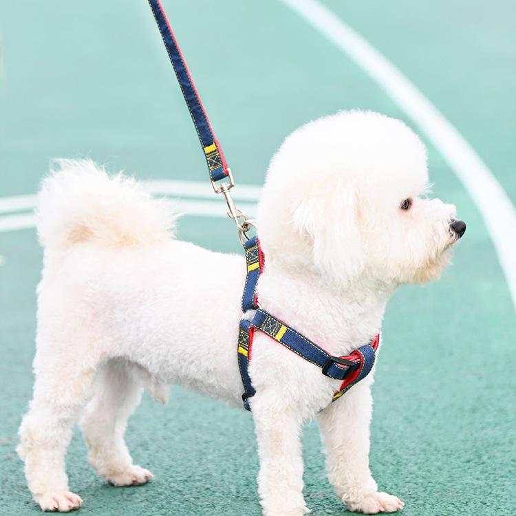 Multi-Size Dog Leash & Collar Set for Walking - Suitable for Small To Large Breeds