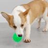 Pet Glow Toy Ball Bite Resistant Stretchy Glowing Sting Ball Dog Teething Cat Interactive Toys Pet Supplies Dog Accessories