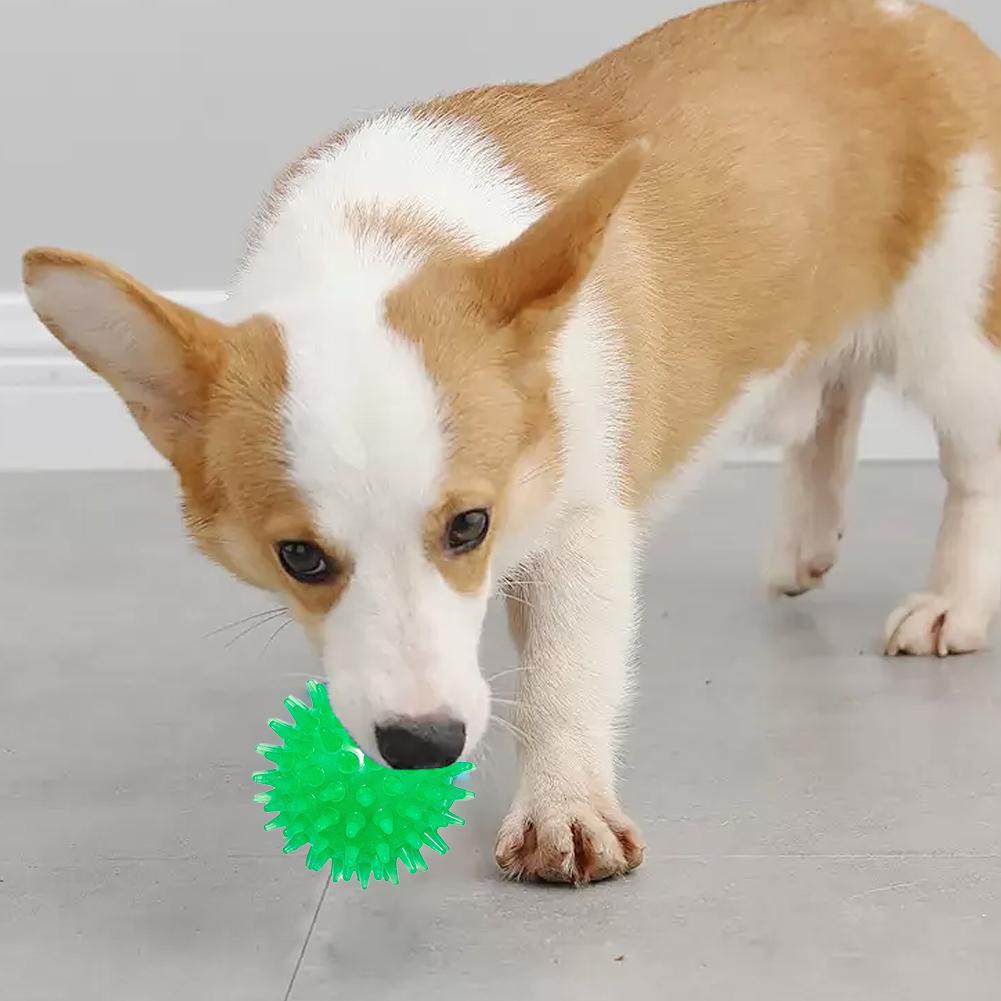 Pet Glow Toy Ball Bite Resistant Stretchy Glowing Sting Ball Dog Teething Cat Interactive Toys Pet Supplies Dog Accessories