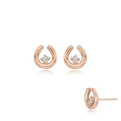 Silver Earrings Sc1445