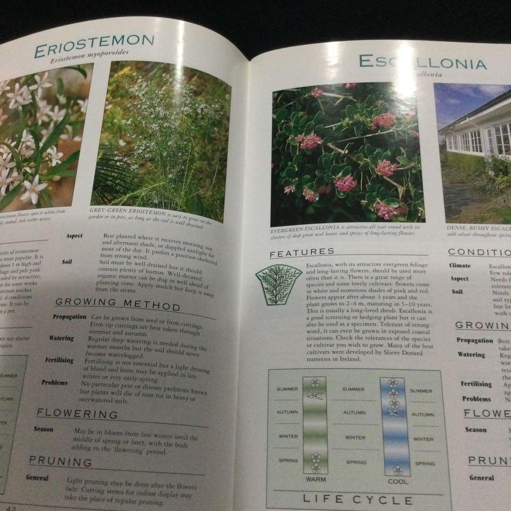 [USED] Flowers, plants, foreign books, illustrated guidebooks, guidebooks, Flowering shrubs