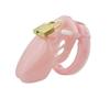 2026 New Model Chastity Cage: Sissy Chastity Lock—A Valentine's Day Gift for Adult Couples and Partners