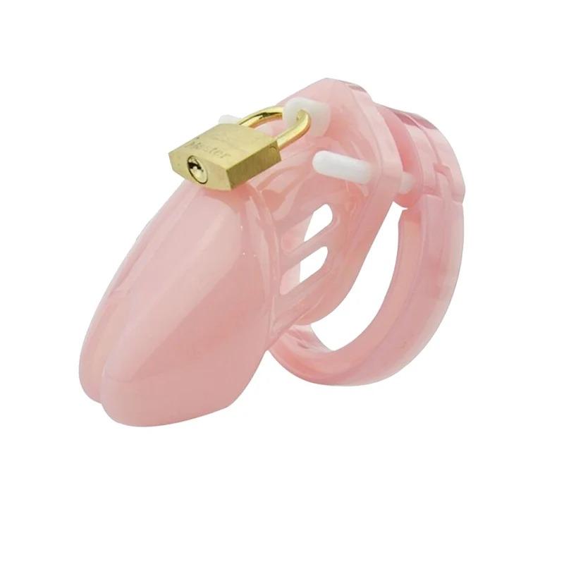 2026 New Model Chastity Cage: Sissy Chastity Lock—A Valentine's Day Gift for Adult Couples and Partners