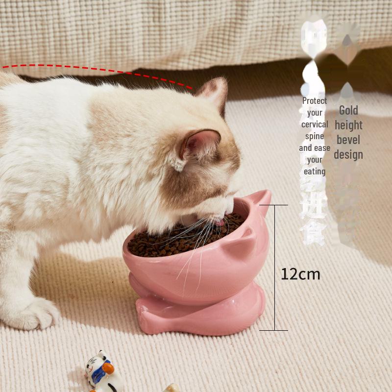 Ceramic Cat & Dog Food Bowl with Elevated Design for Neck Protection & Spill Prevention