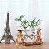Dropshipping Glass Plant Propagation Stations With Wooden Stand Air Plants Holders Glass Vase for Indoor Plants