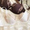 Sexy Lace Women Lingerie French Flowers Embroidery Bra Set Breathable Mesh Splicing Push Up Bras Hollow Thin Cup Underwear Sets
