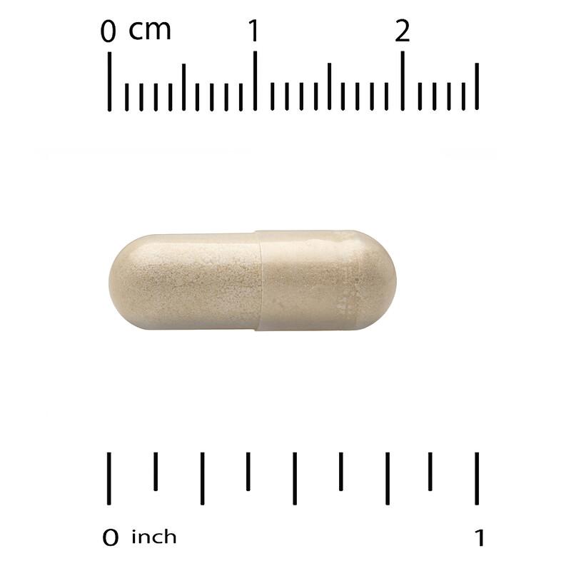 Milk Thistle Extract, 300 mg, 200 Veg Capsules
