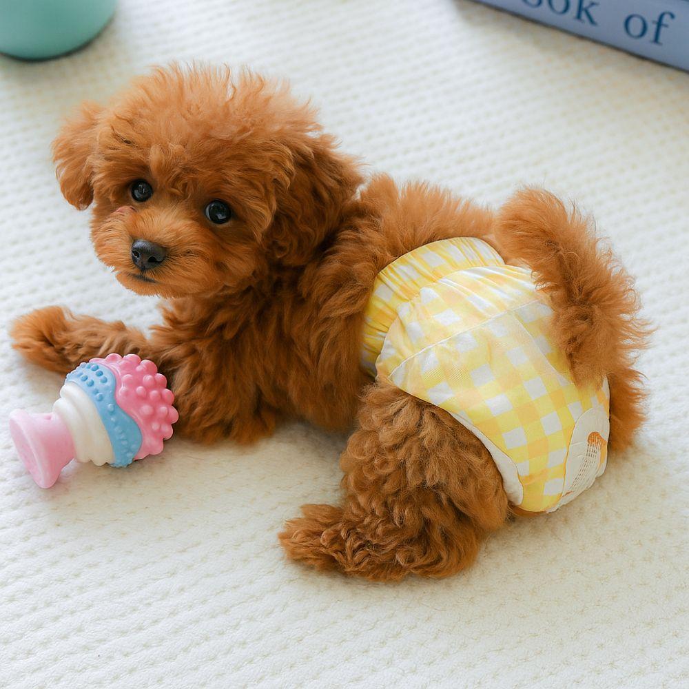 Breathable Dog Physiological Pants Leakproof Puppy Sanitary Pants Pet Apparel Dog Diaper  Outdoors