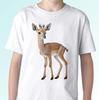 Tops – T-Shirts