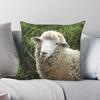 Federa Quadrata con Pecore in un Pascolo Poliestere Lino Velluto Creativo Zip Decorativa Copricuscino per Divano Ingrosso x