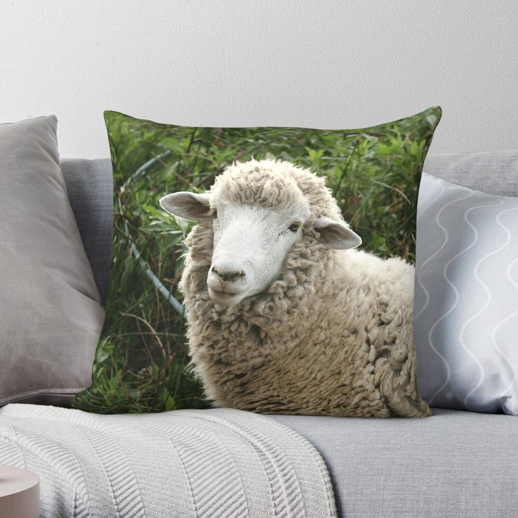 Federa Quadrata con Pecore in un Pascolo Poliestere Lino Velluto Creativo Zip Decorativa Copricuscino per Divano Ingrosso x