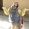 Women's Winter Down Vest Short Stand Collar Loose Blue Plaid