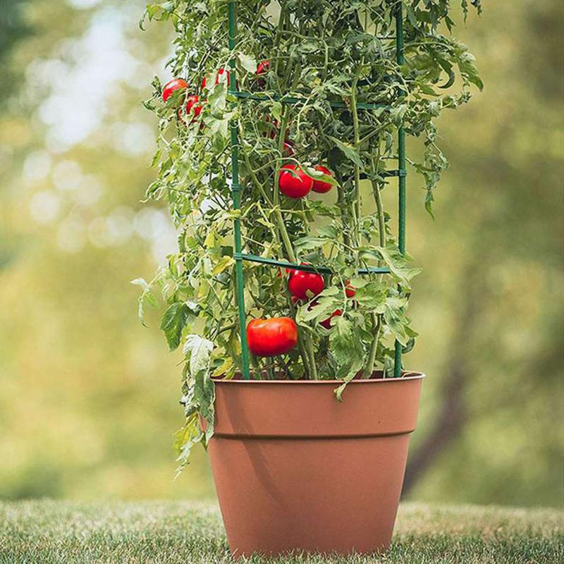 DIY Pflanzenstützen Gemüseanbau Rahmen Tomatenstange Kunststoffbeschichtetes Stahlgitter 80/120/160 cm Höhe 11 mm Dicke Pflanzenpfähle