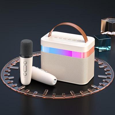 Newman DP99 K-Song Bluetooth Speaker with Microphone CN Plug (adapter Included)