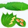30PCS Food Contact Safe Food Serving Mats Printed Green Leaf Greaseproof Paper Mats  for Seafood